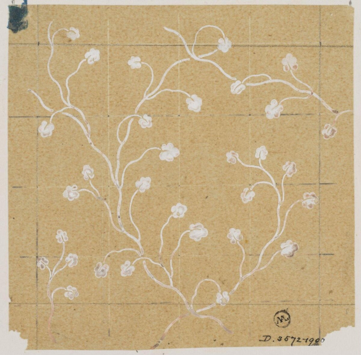 White Clover Vine Design Sketch