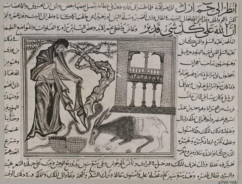 Medieval Arabic Manuscript Illustration