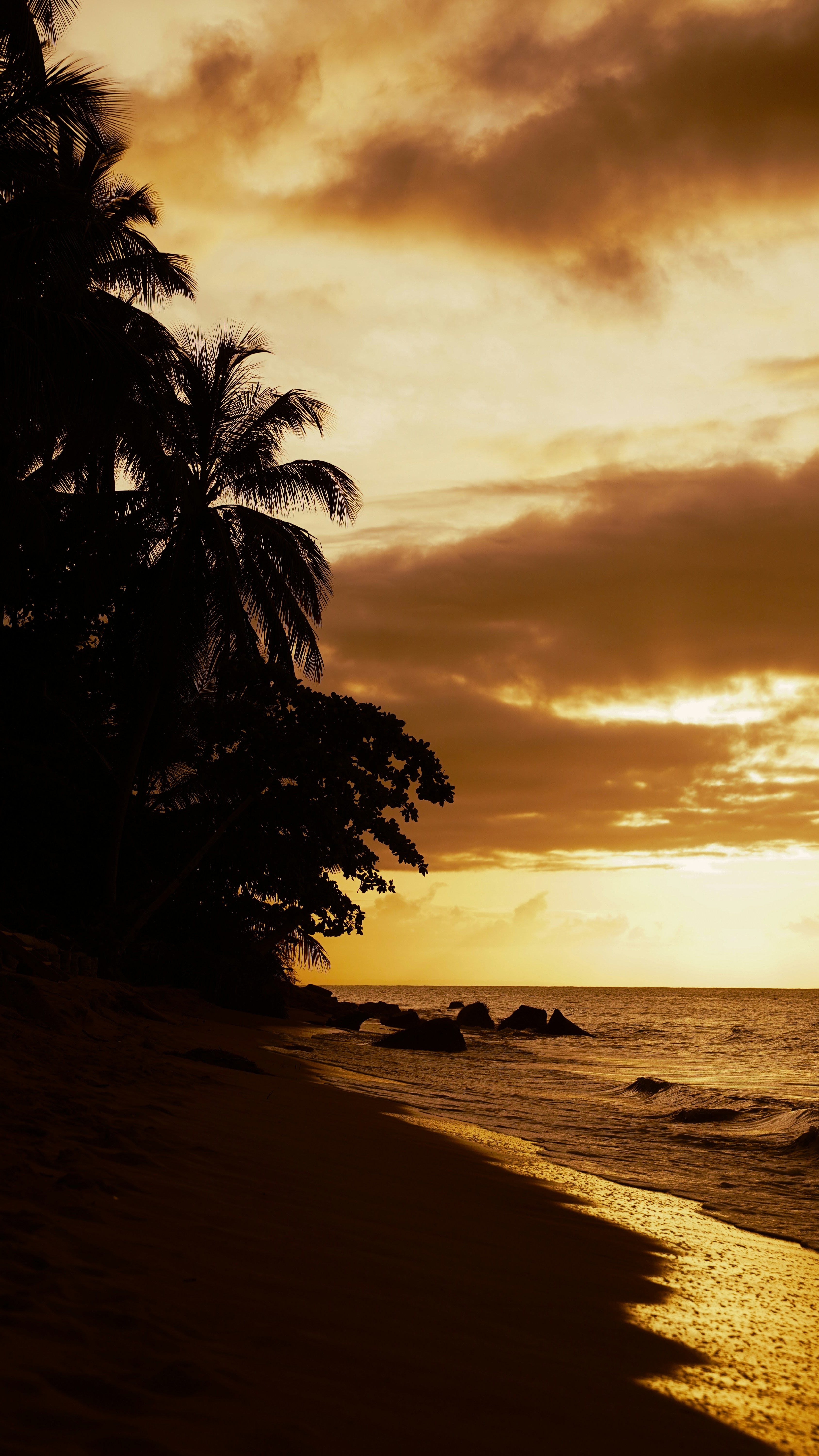Tropical Beach Sunset