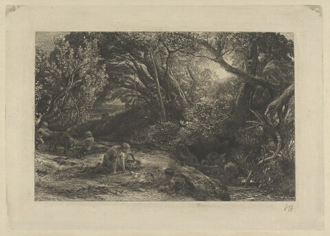 People Foraging in Forest Clearing