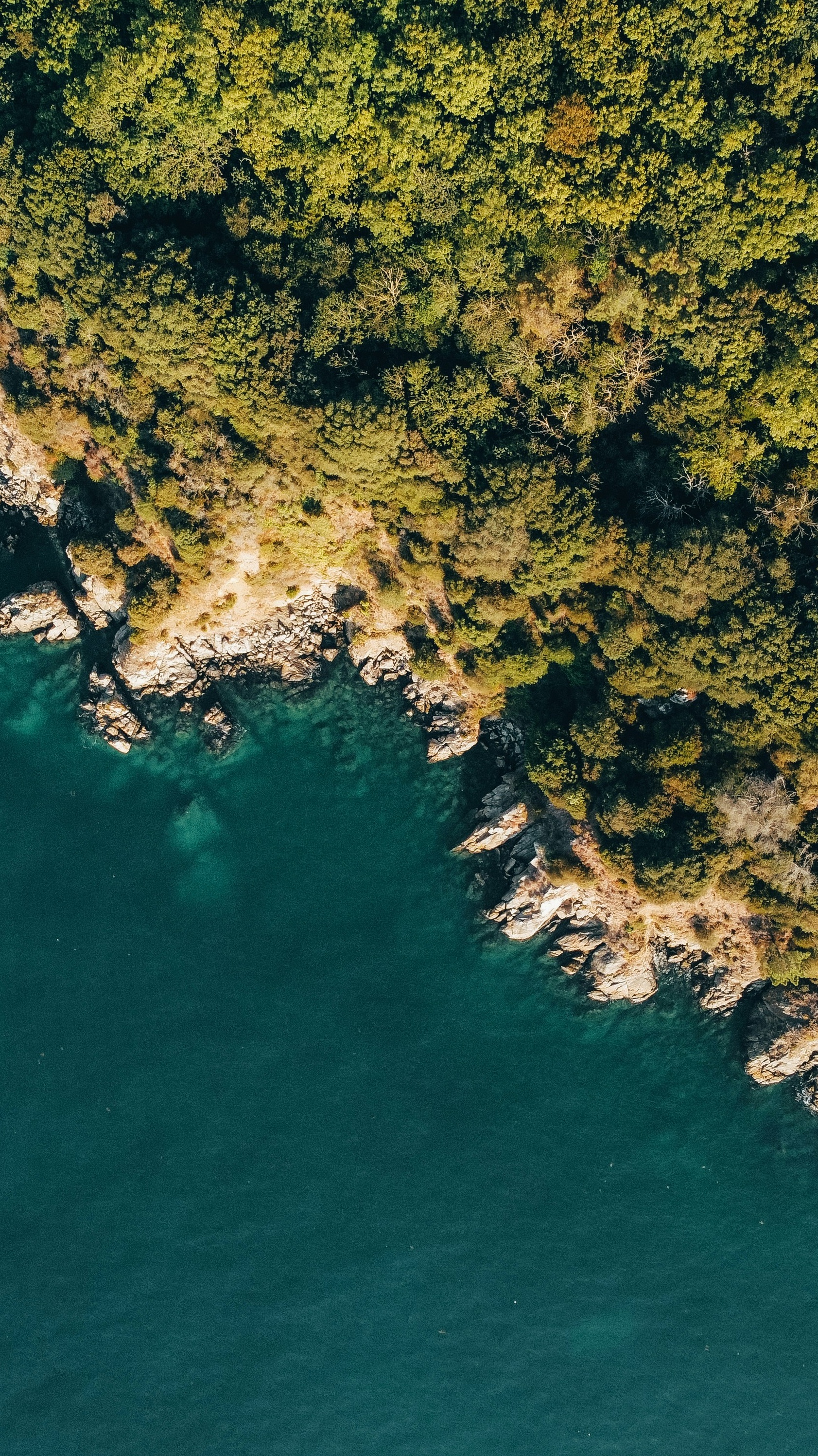 Wallpapers