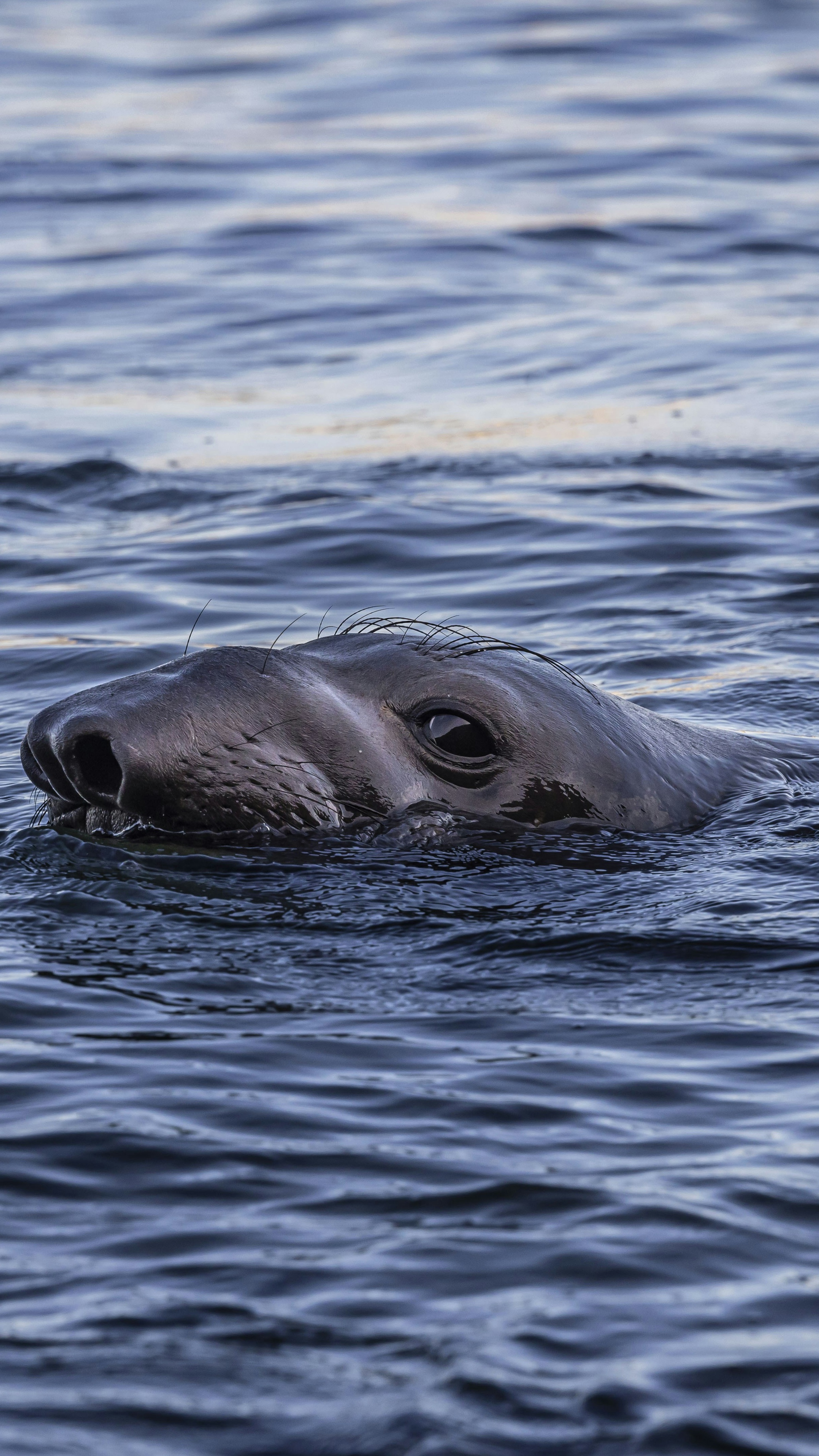 Ocean World