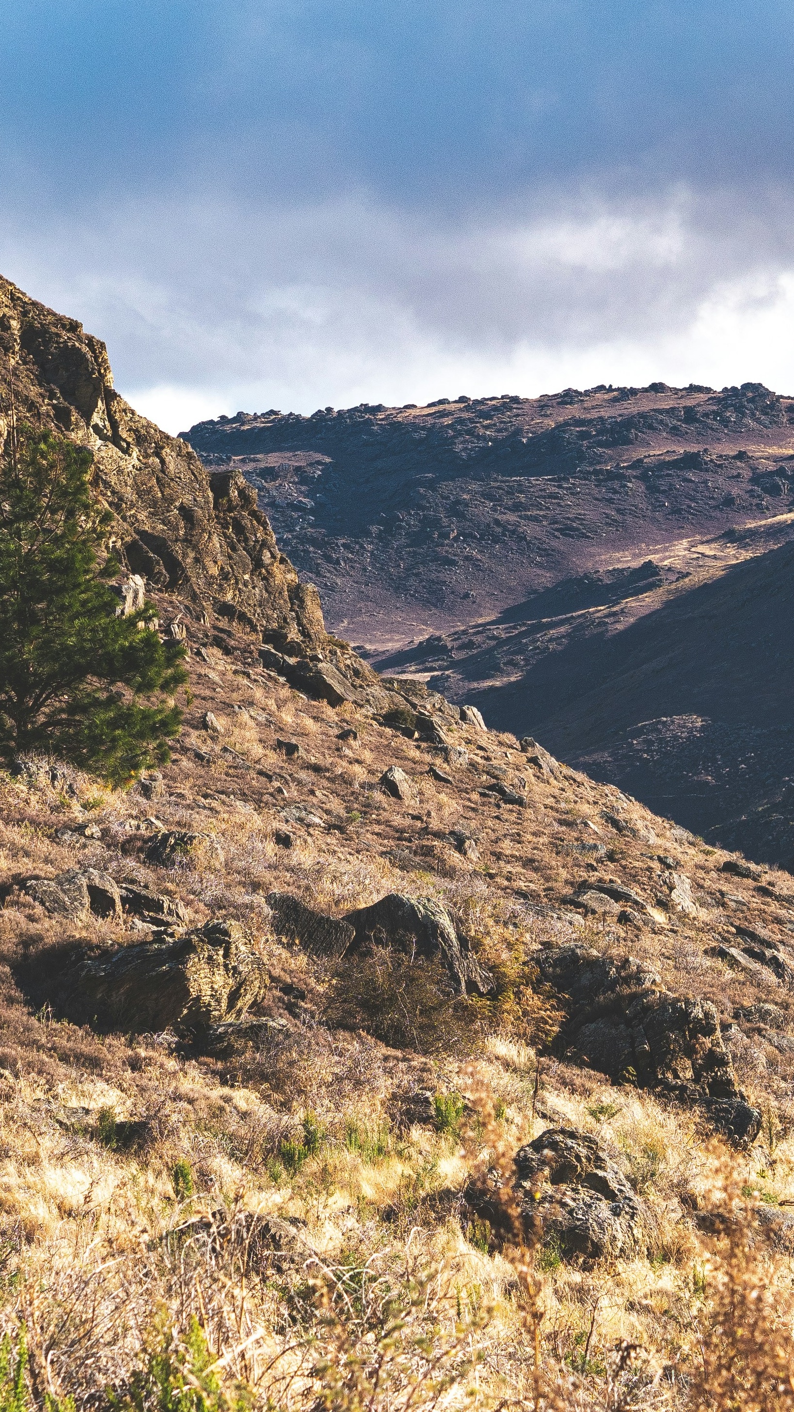 Wallpapers
