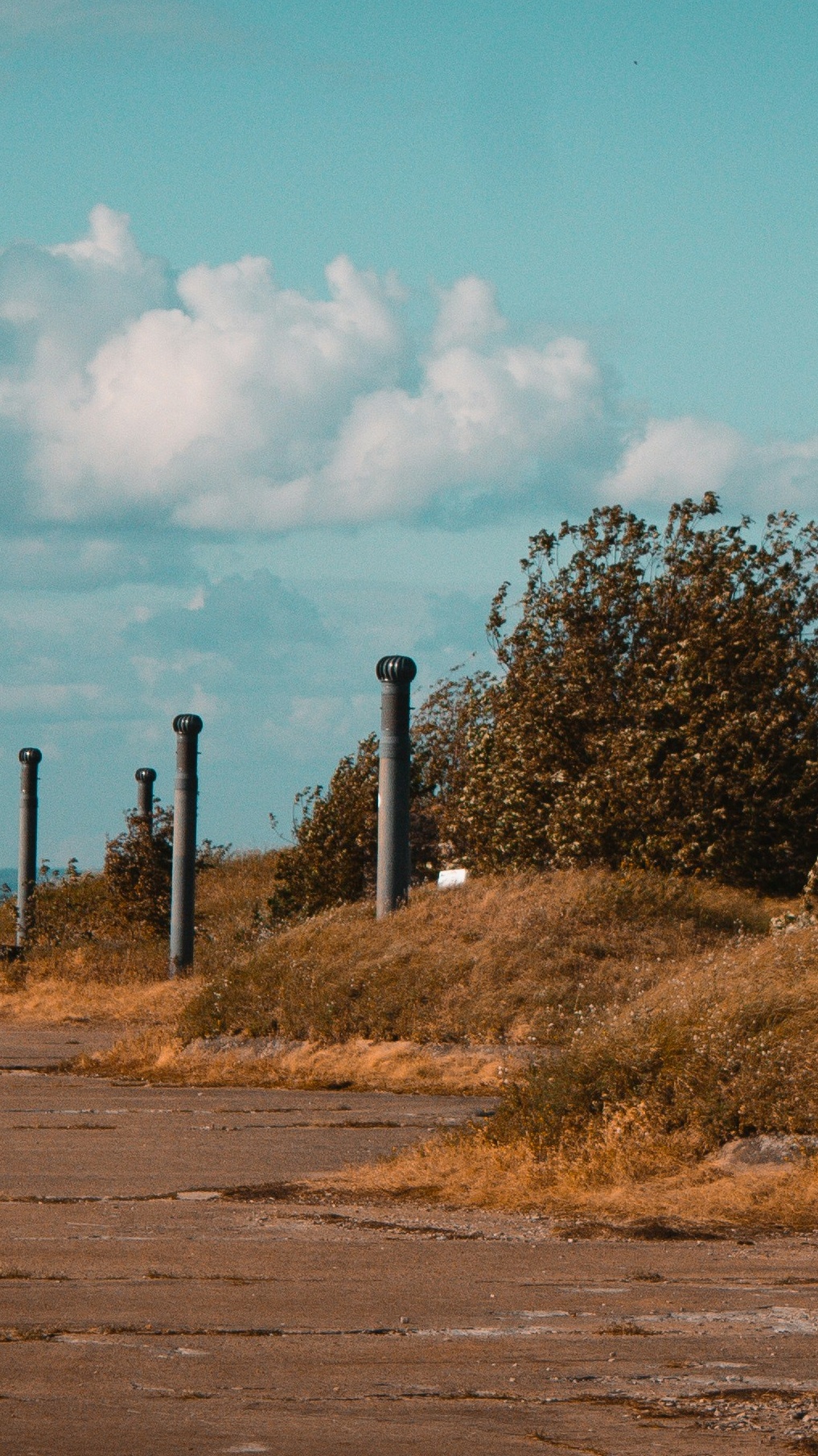 Wallpapers