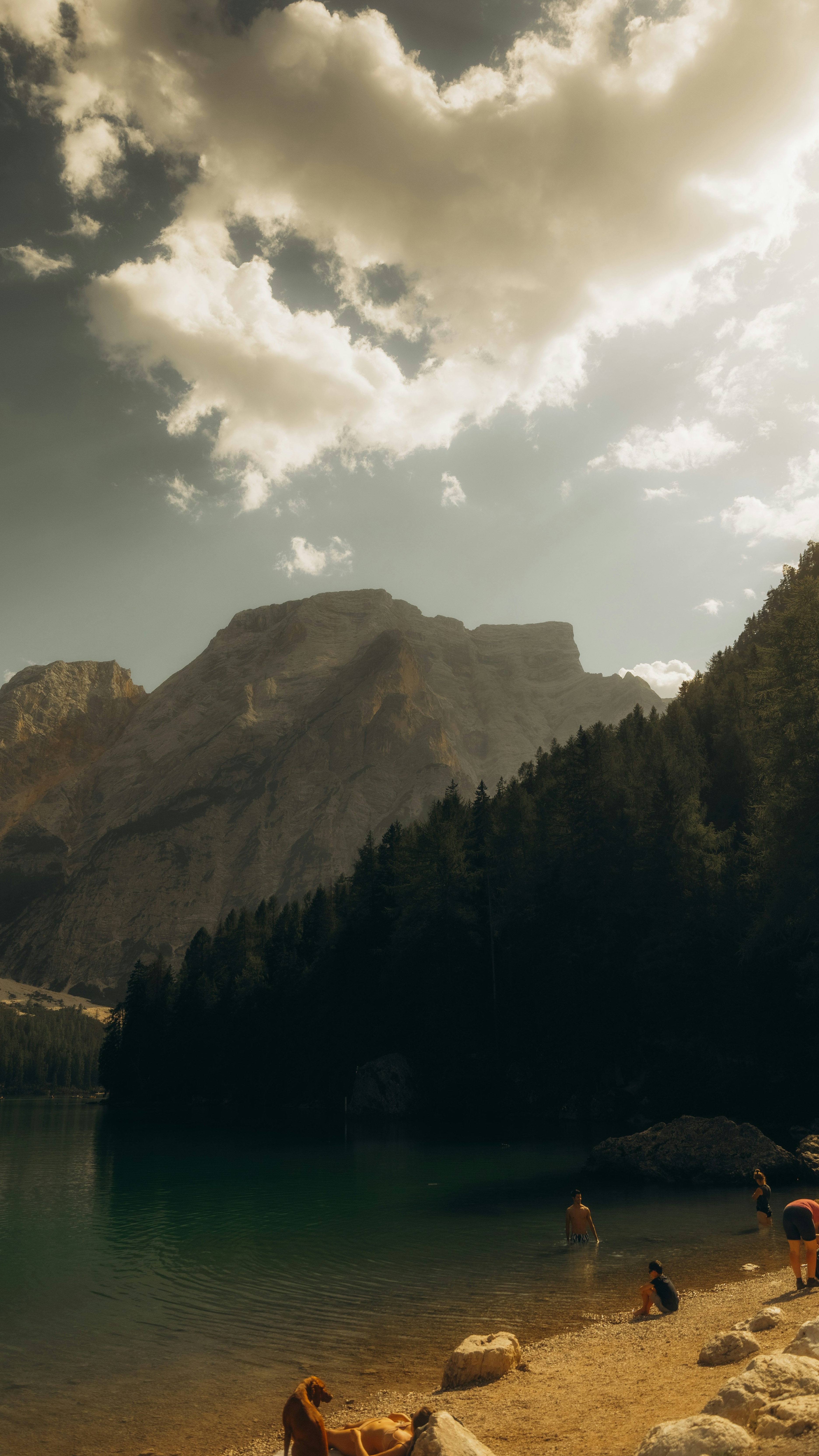 Wallpapers