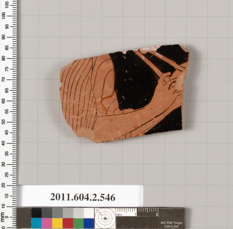 Ancient Terracotta Pottery Fragment