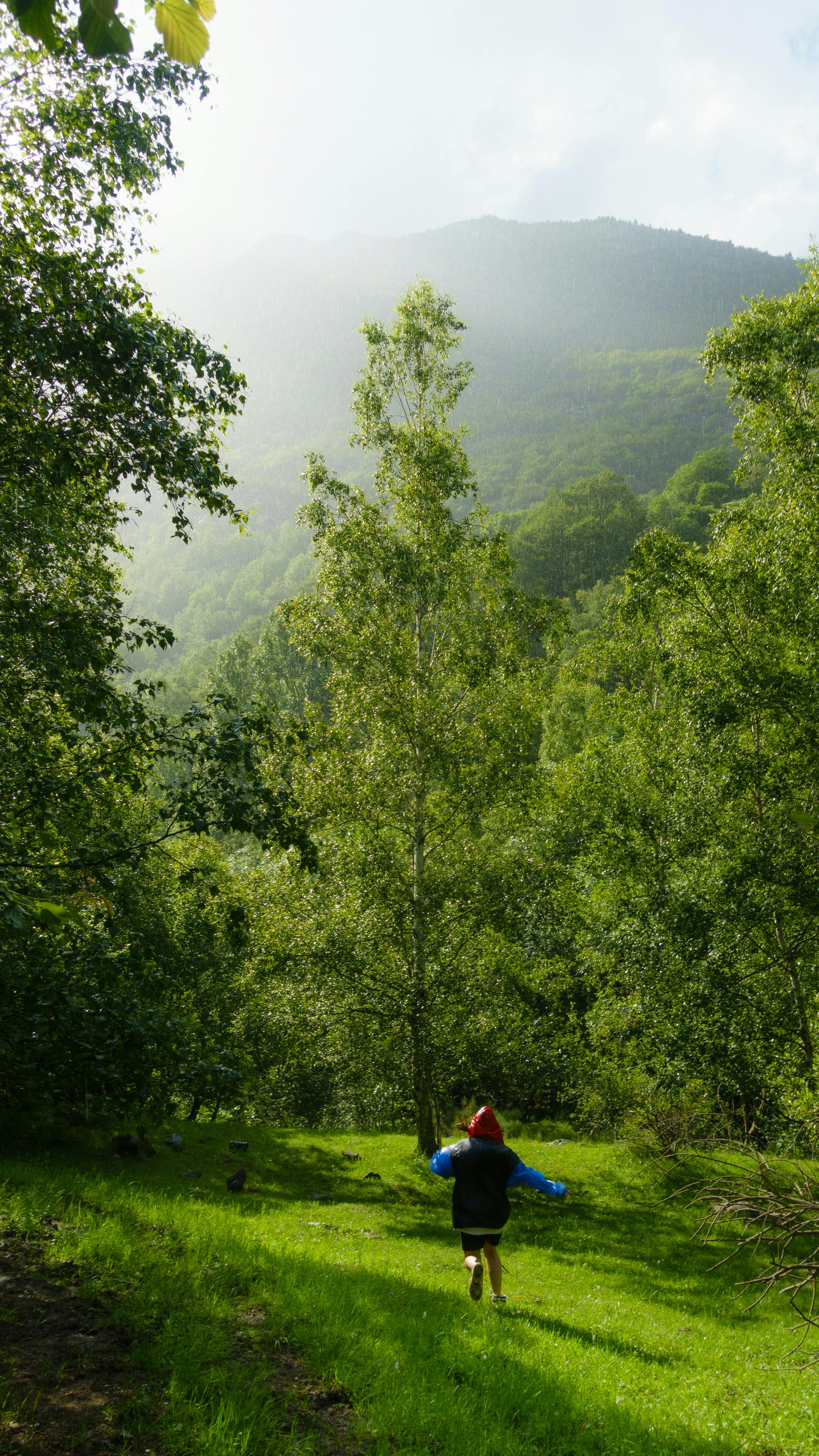 Hiker Running Down Green Mountain Valley