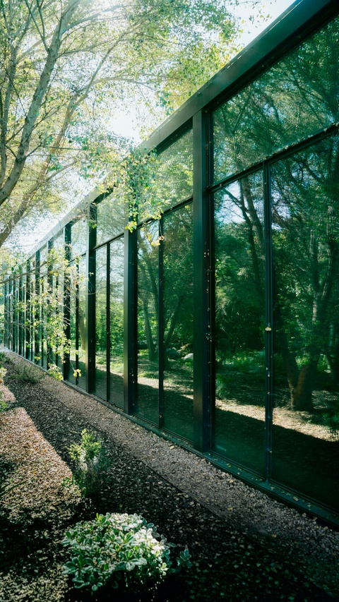 Glass Building Facade Among Green Trees