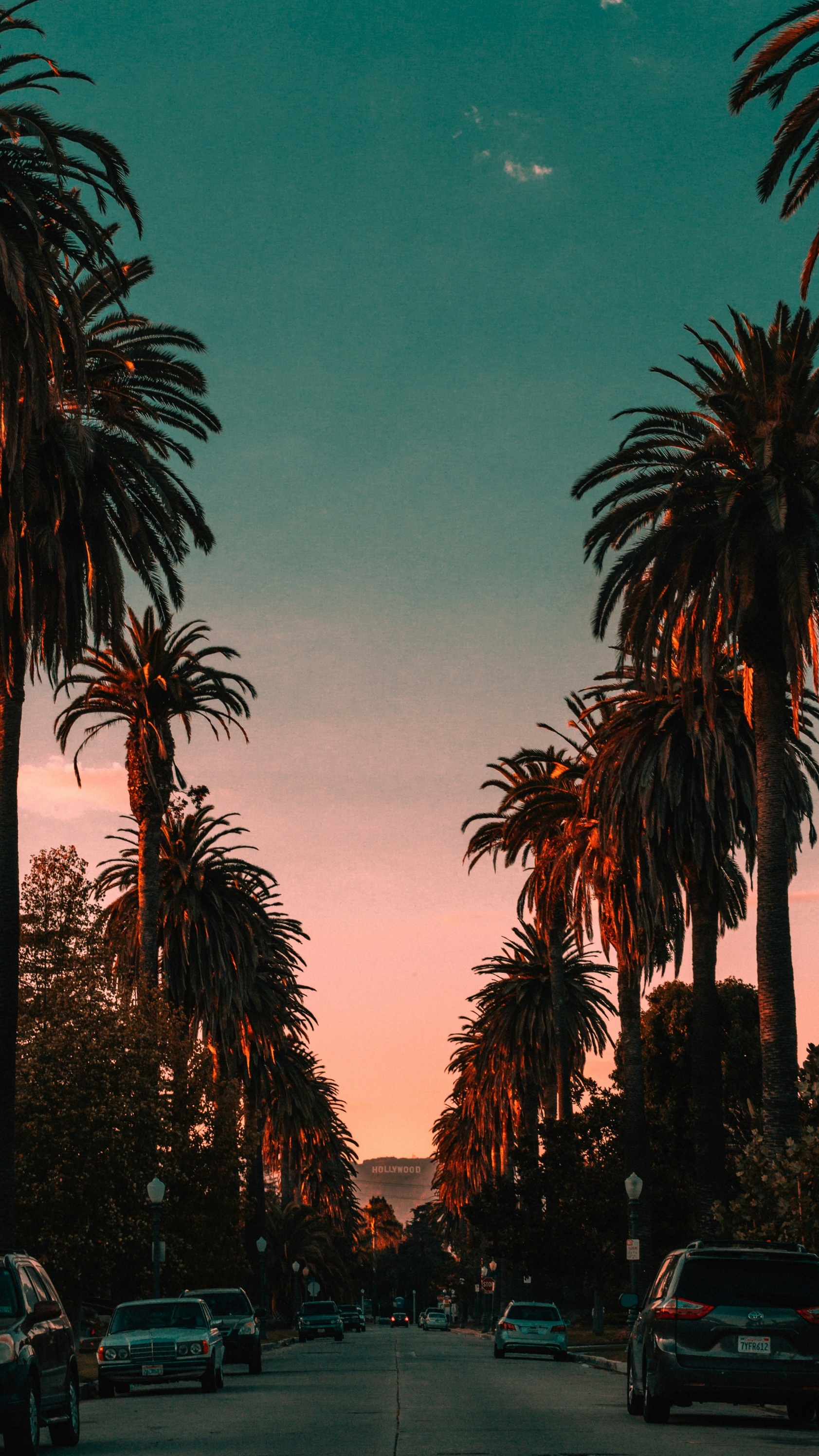 Wallpapers