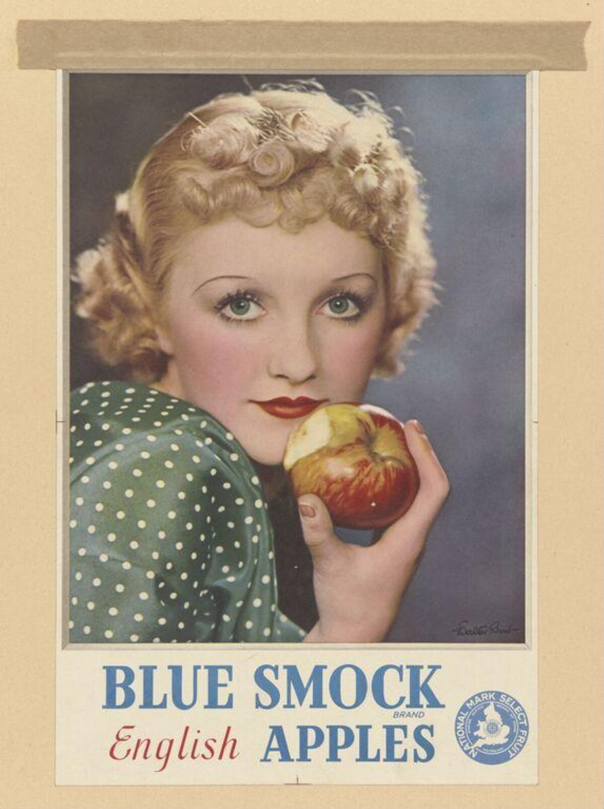 Vintage Blue Smock English Apples Advertisement