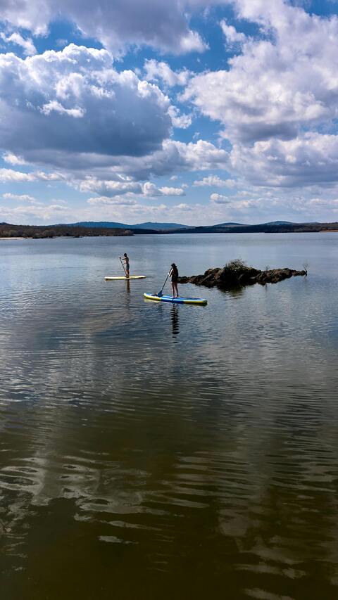 Two People Paddleboarding on a Lake