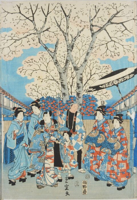 Japanese Ukiyo-e Cherry Blossom Procession