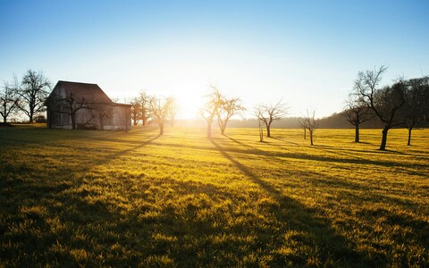 Sunlit Country Meadow with Old Barn