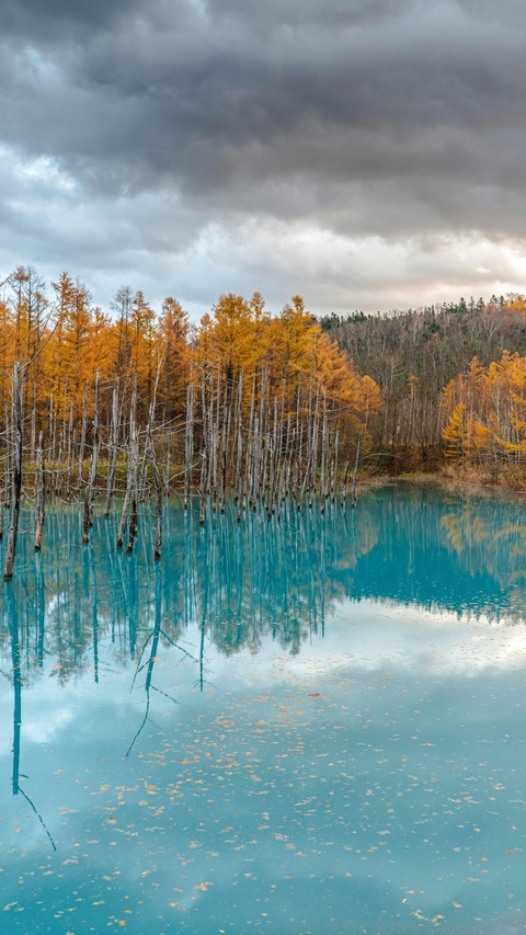 Blue Pond in Autumn
