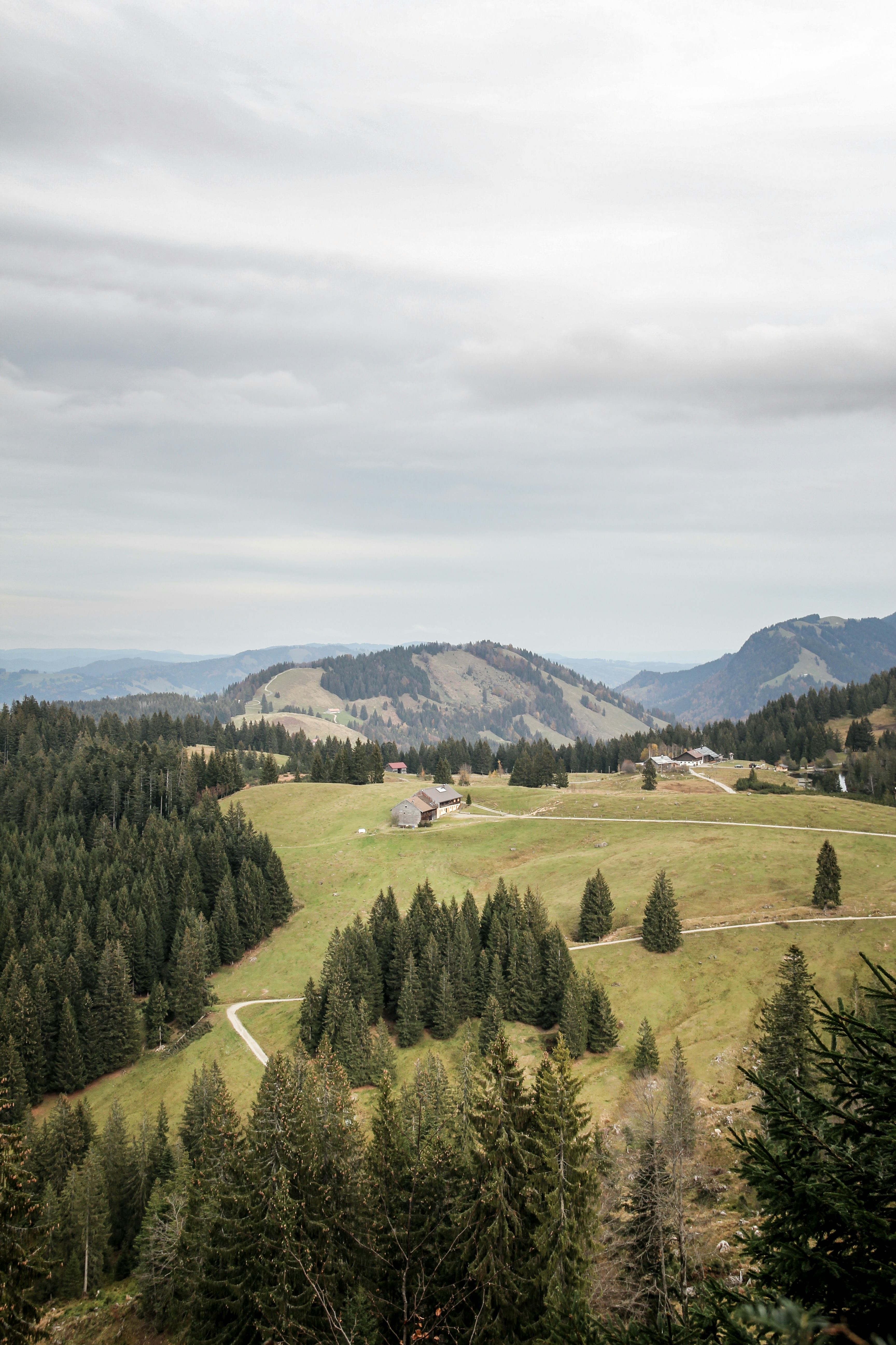 Alpine Mountain Pasture Landscape