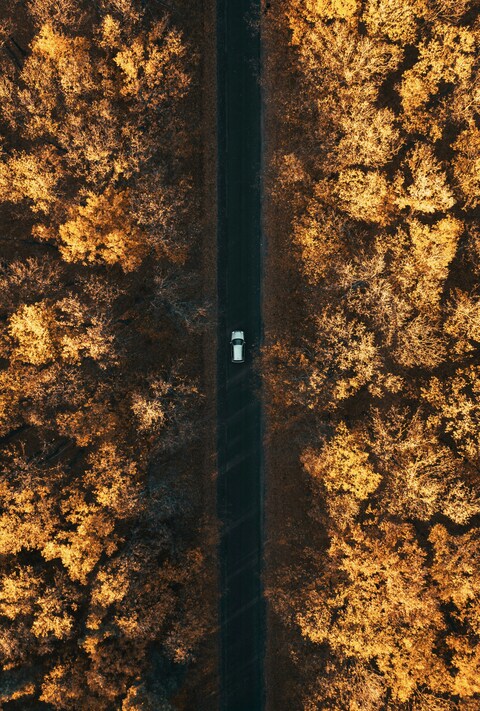 Aerial View of Autumn Forest Road