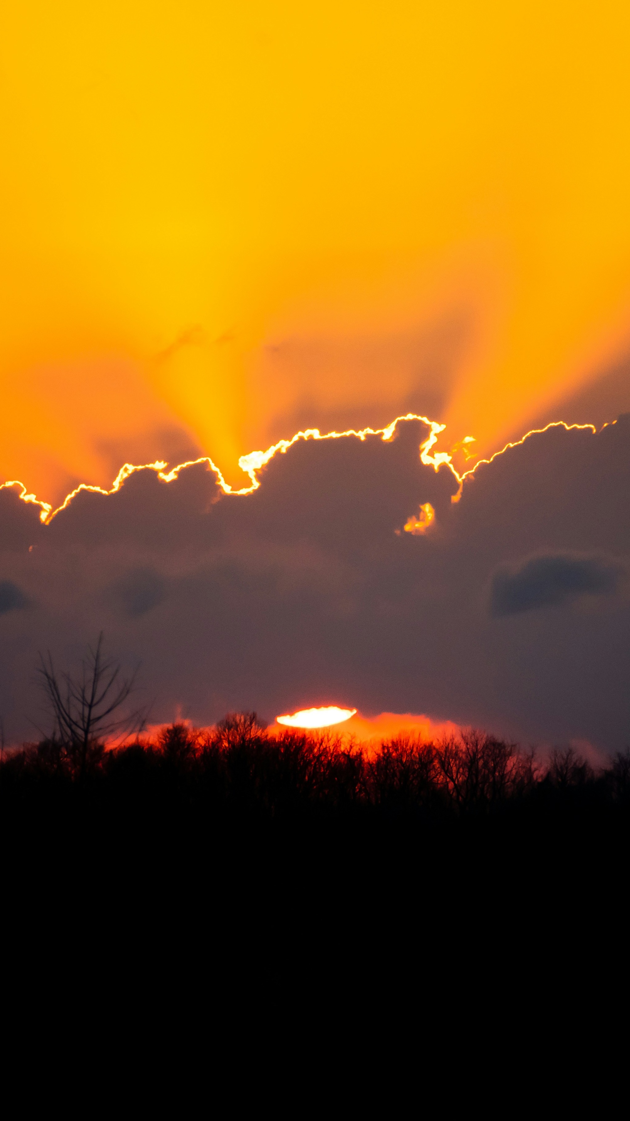 Sunset With Sunbeams Over Silhouetted Trees