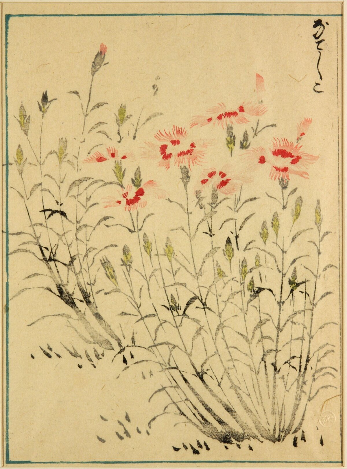 Japanese Dianthus Floral Woodblock Print