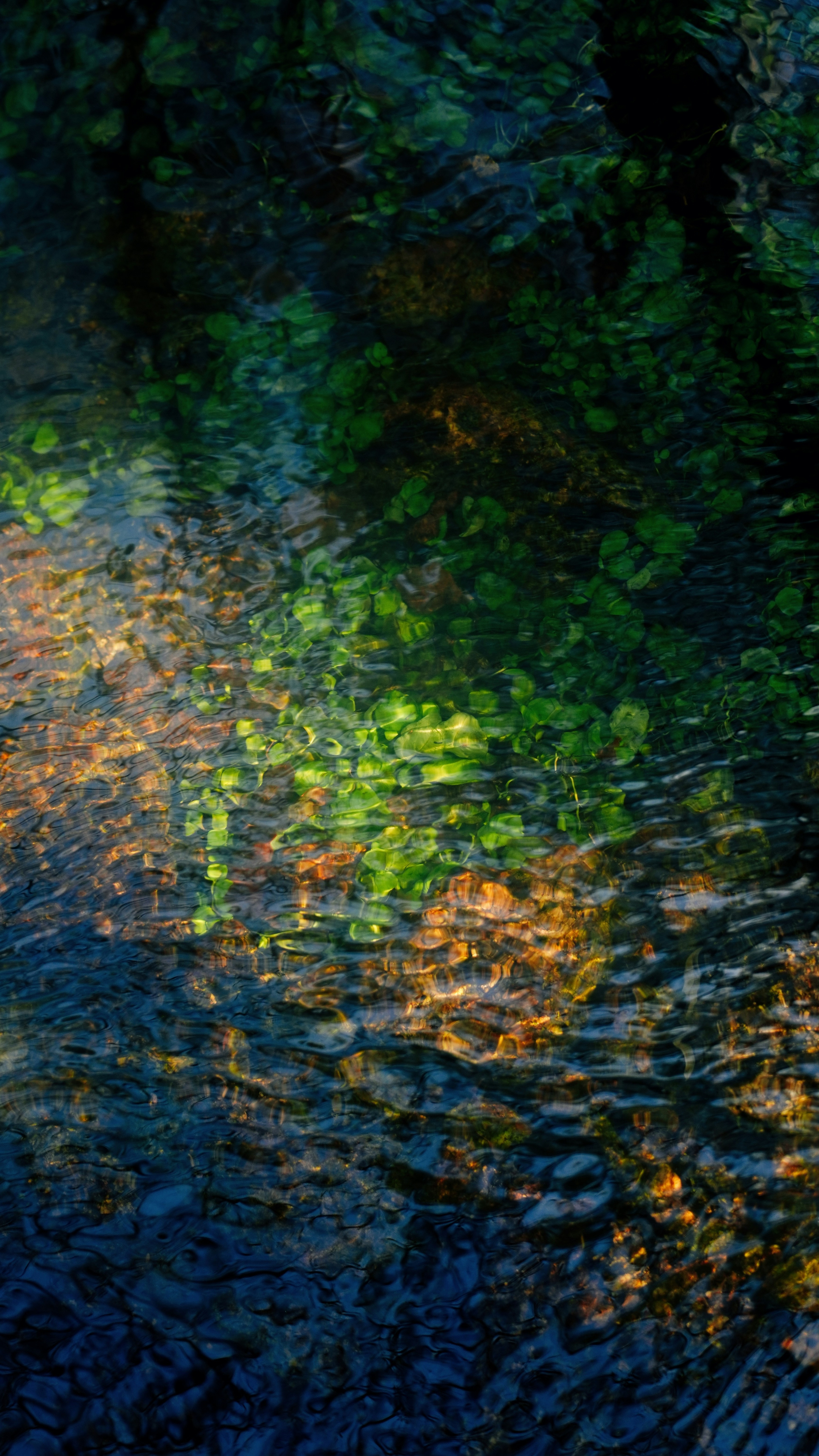 Wallpapers