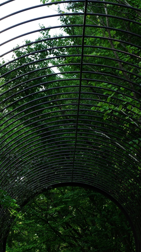 Arched Metal Garden Pergola Tunnel