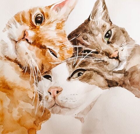 Three Cats Watercolor Painting