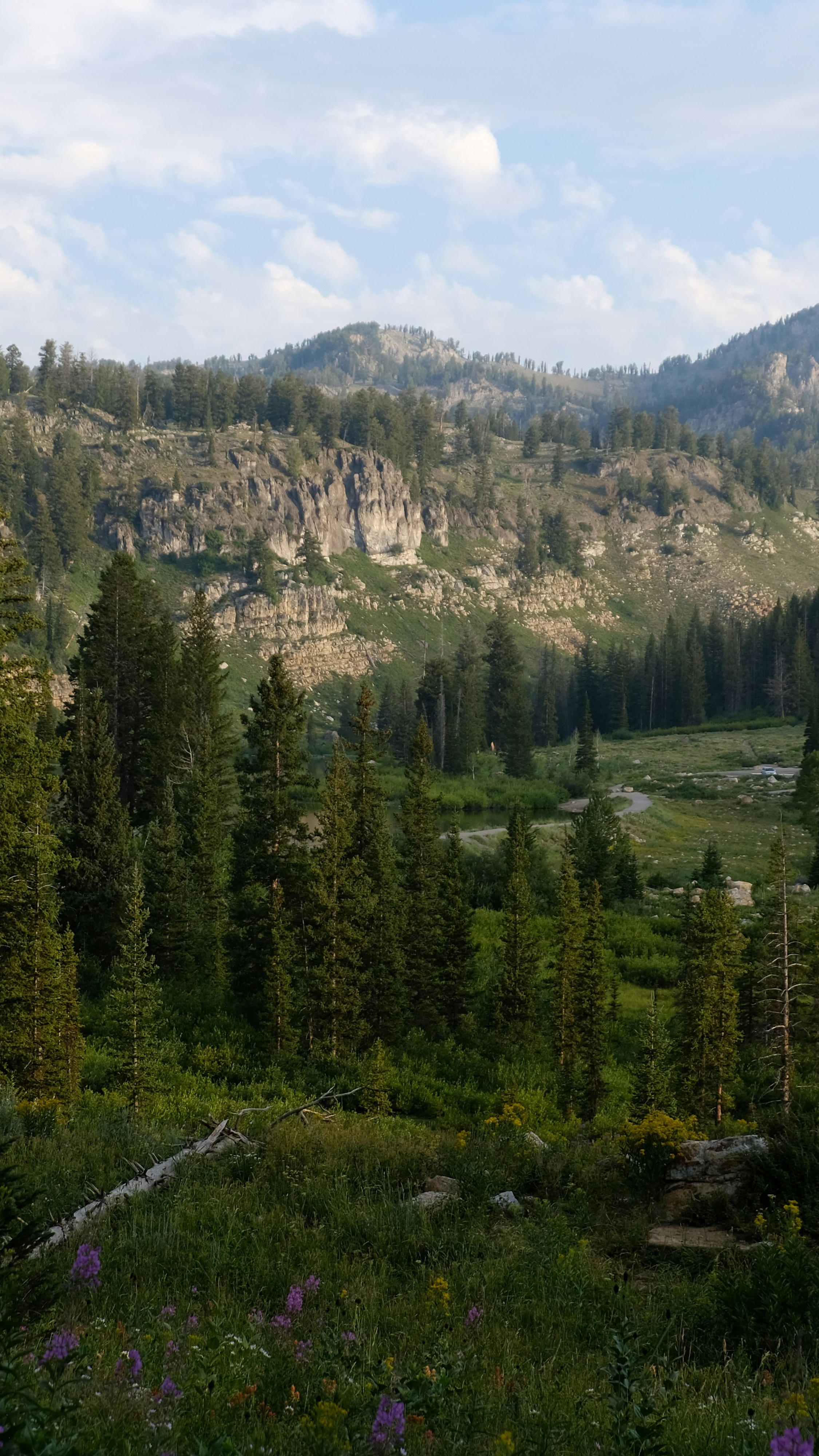 Image 1568138 — Nature