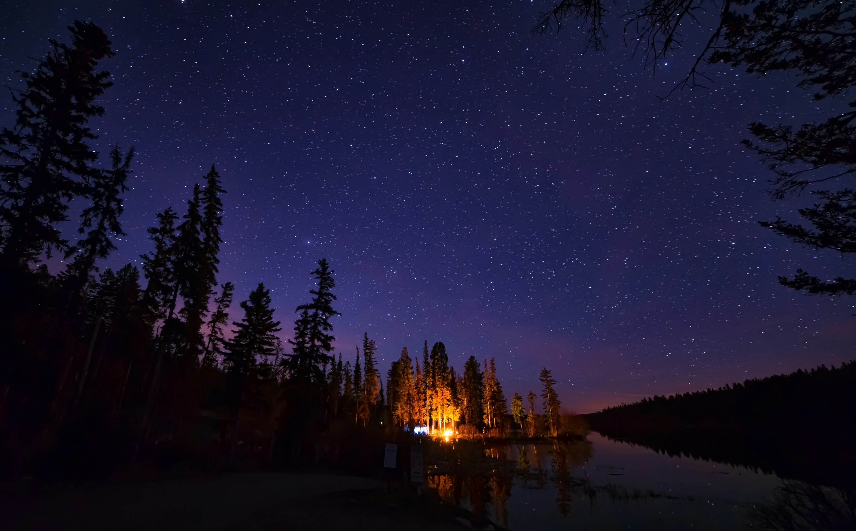 Starry Night Over Forest Lake