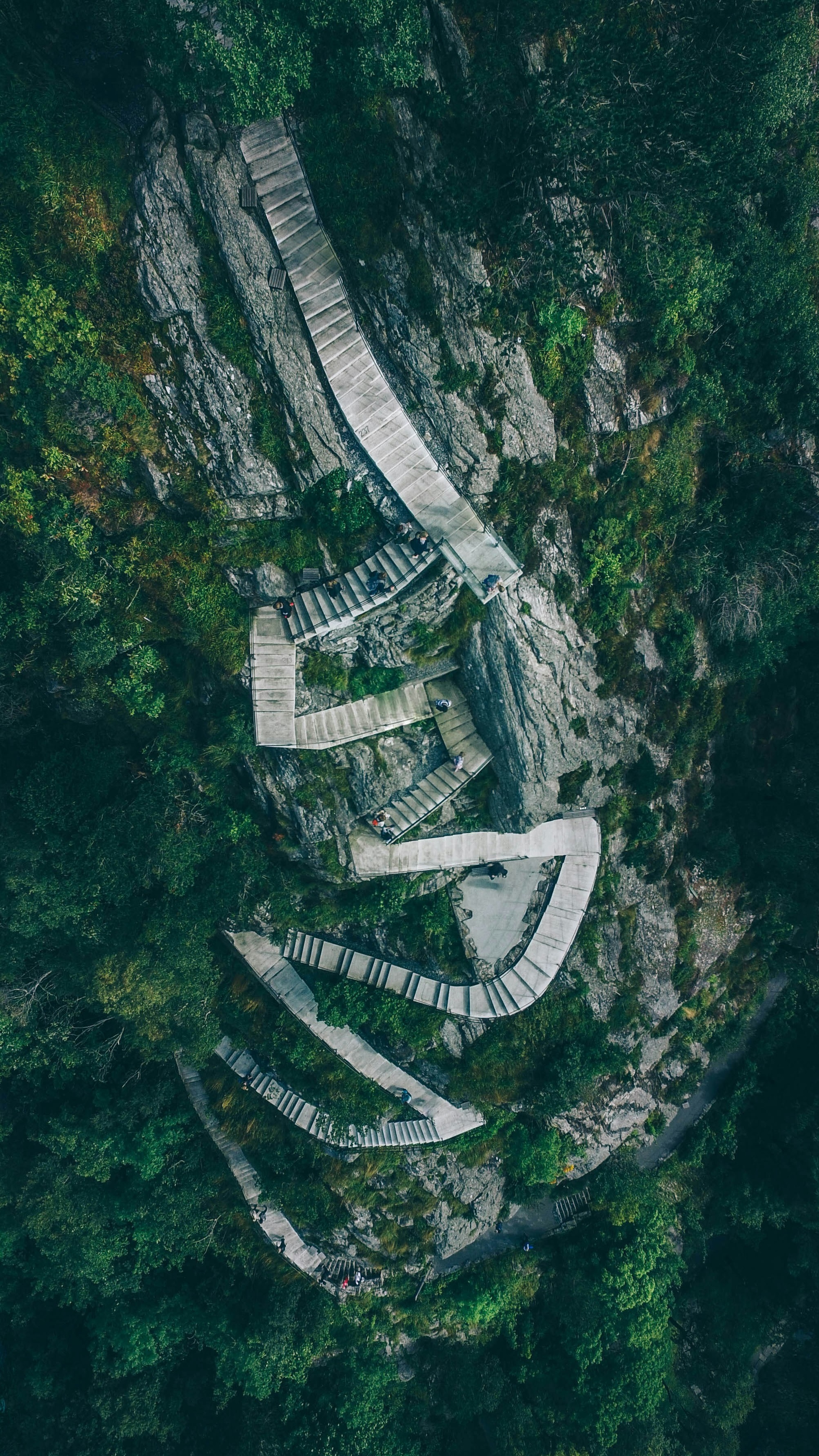 Wallpapers