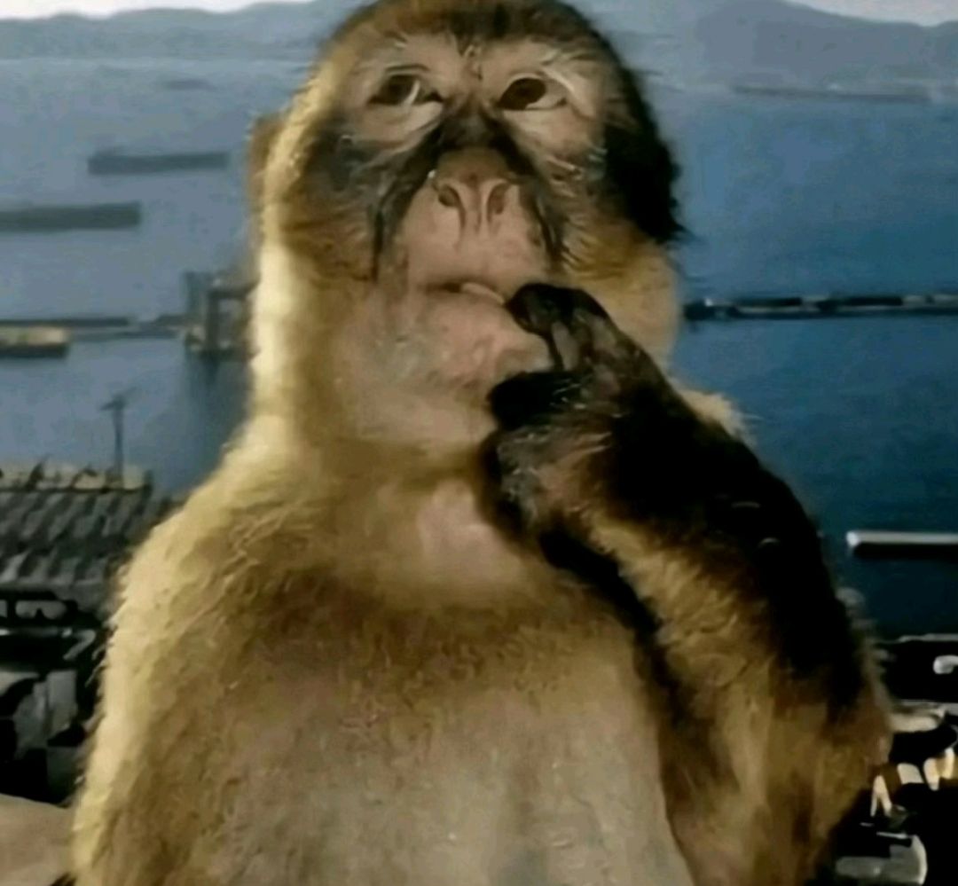 Pensive Monkey at Waterfront