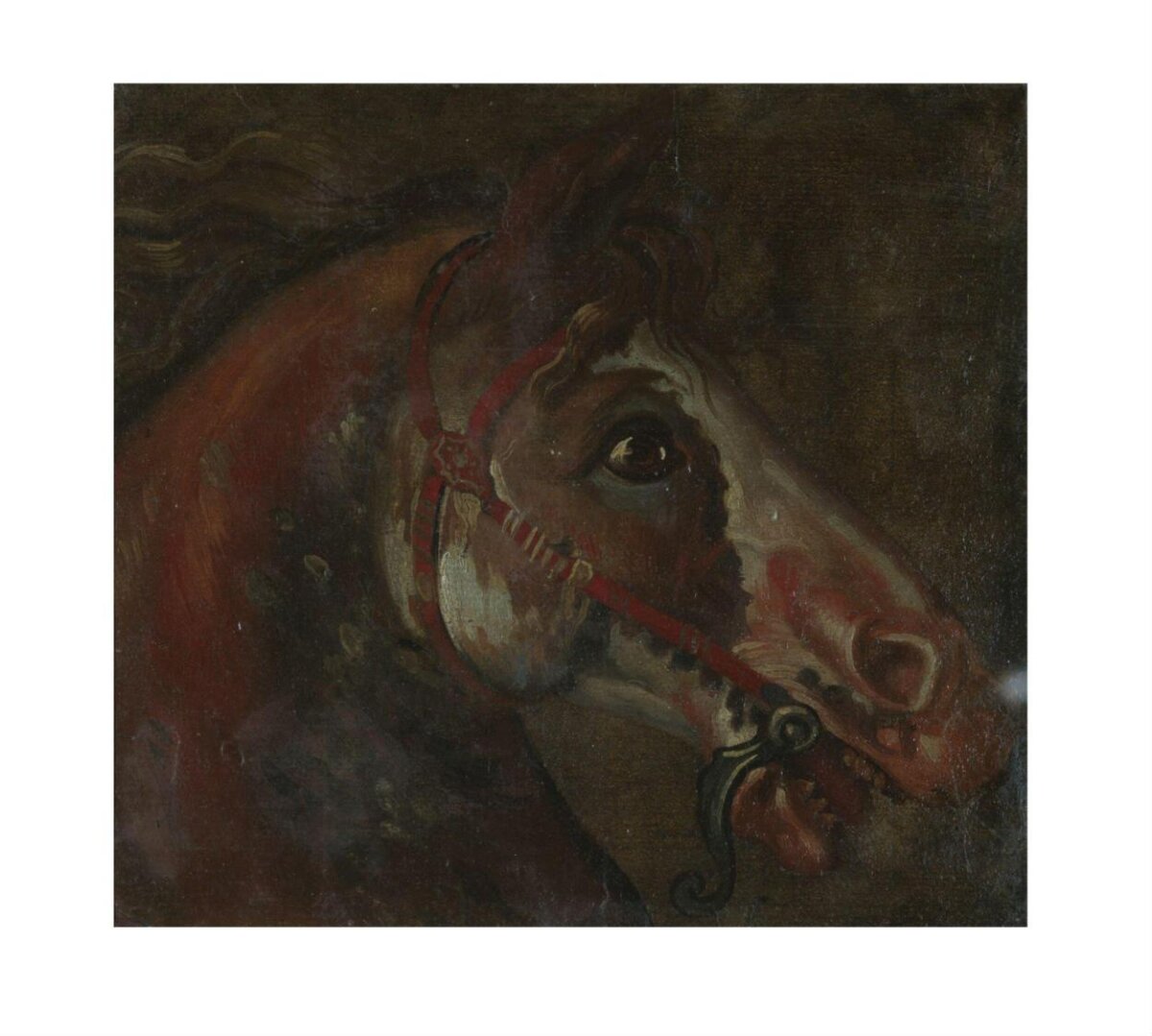 Oil Painting of a Horse Head