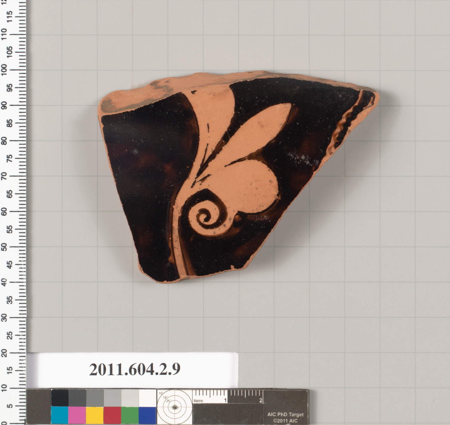 Painted Ancient Pottery Shard