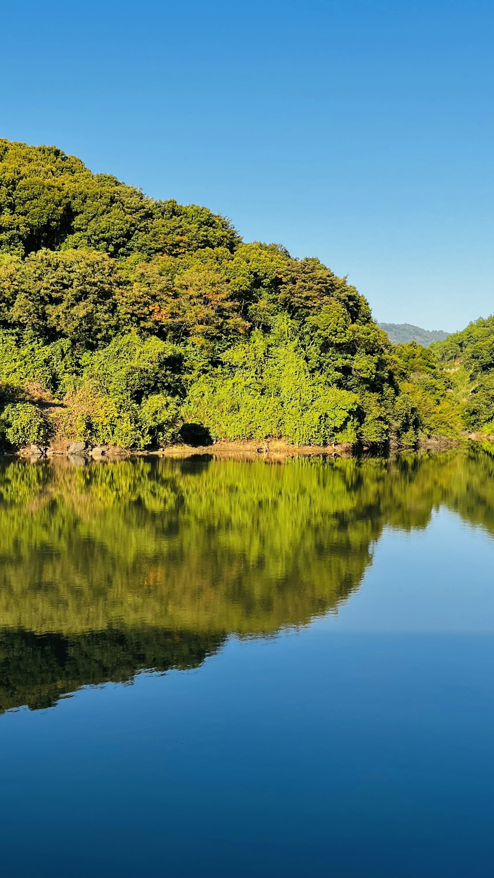 Landscapes