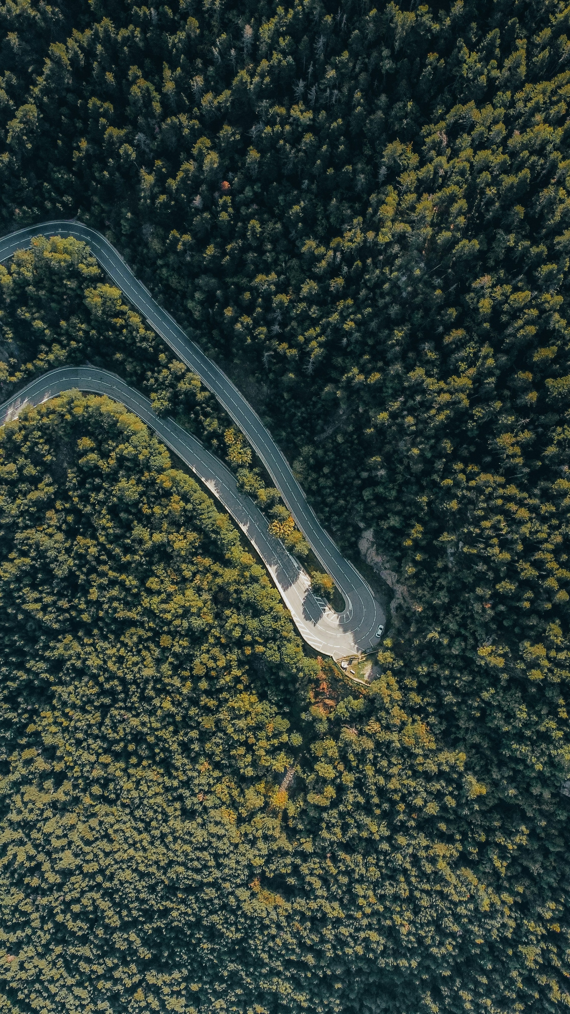 Wallpapers