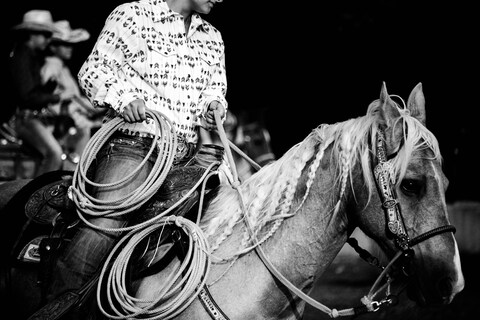 Rodeo Cowboy and Roping Horse