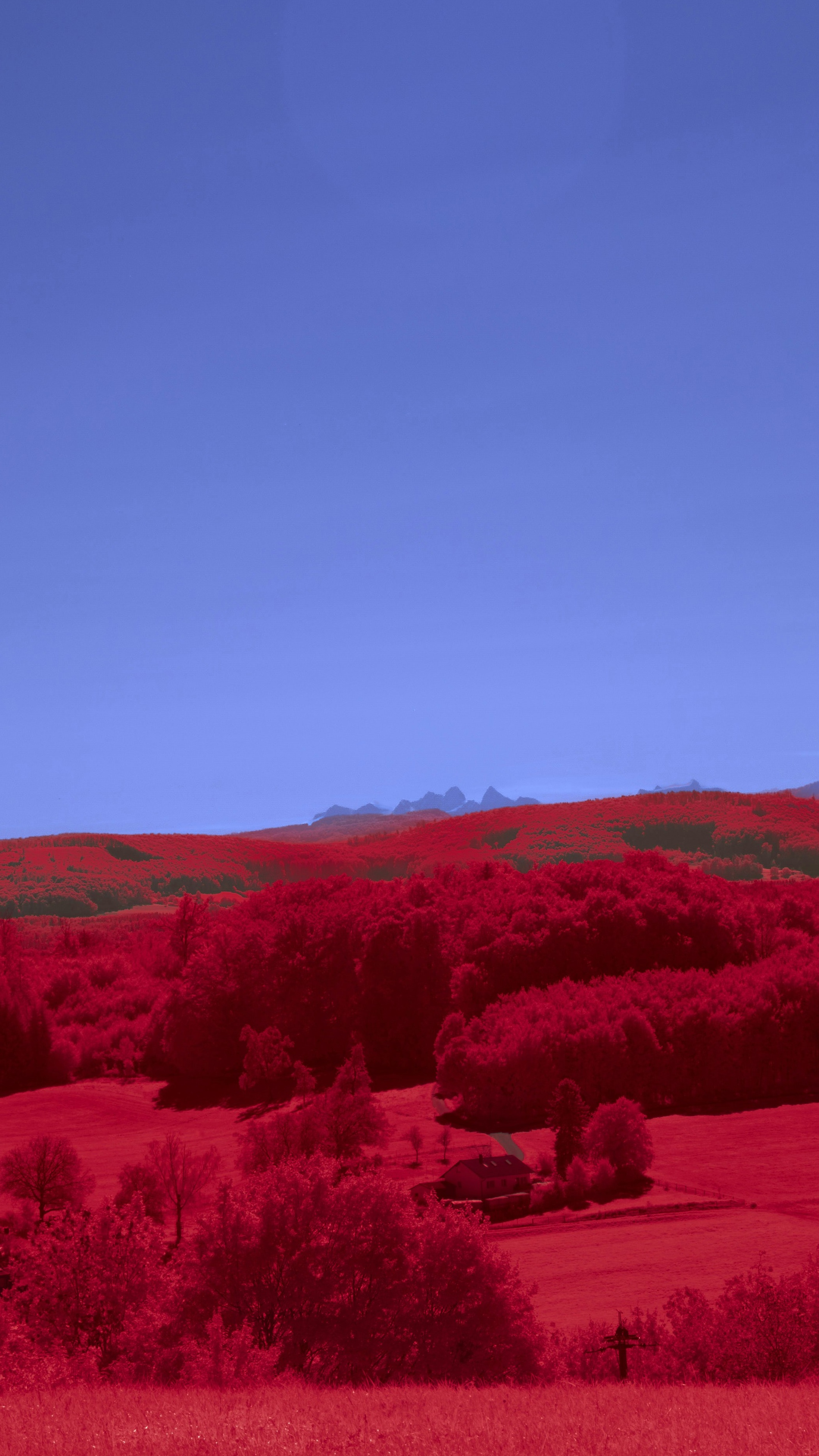 Wallpapers