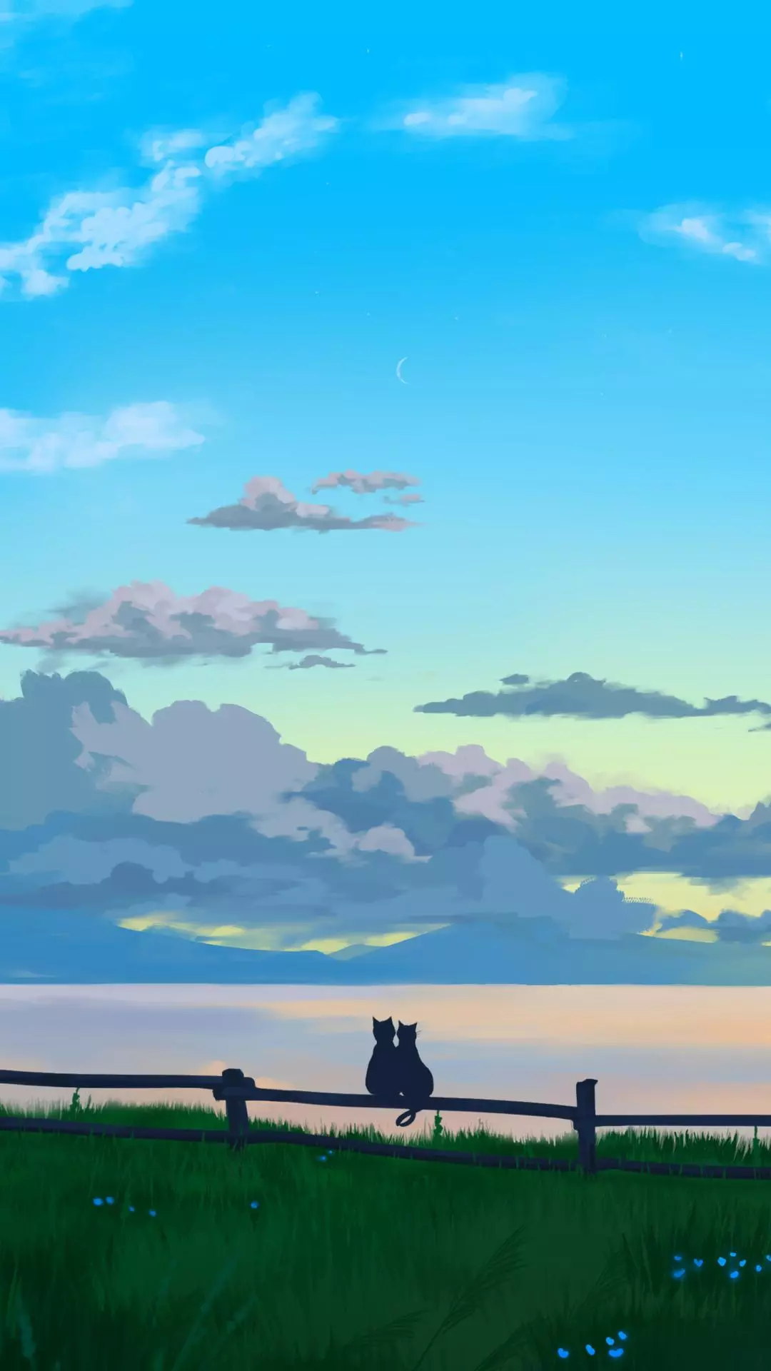 Wallpapers