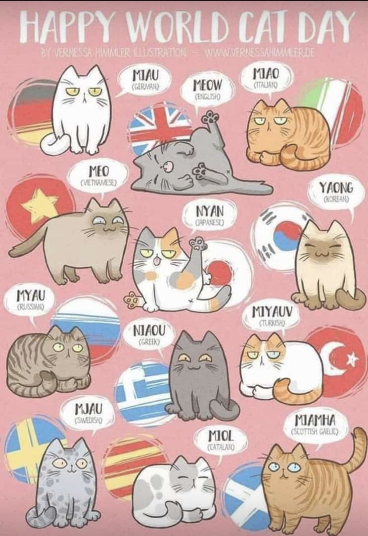 Happy World Cat Day Meow Illustration