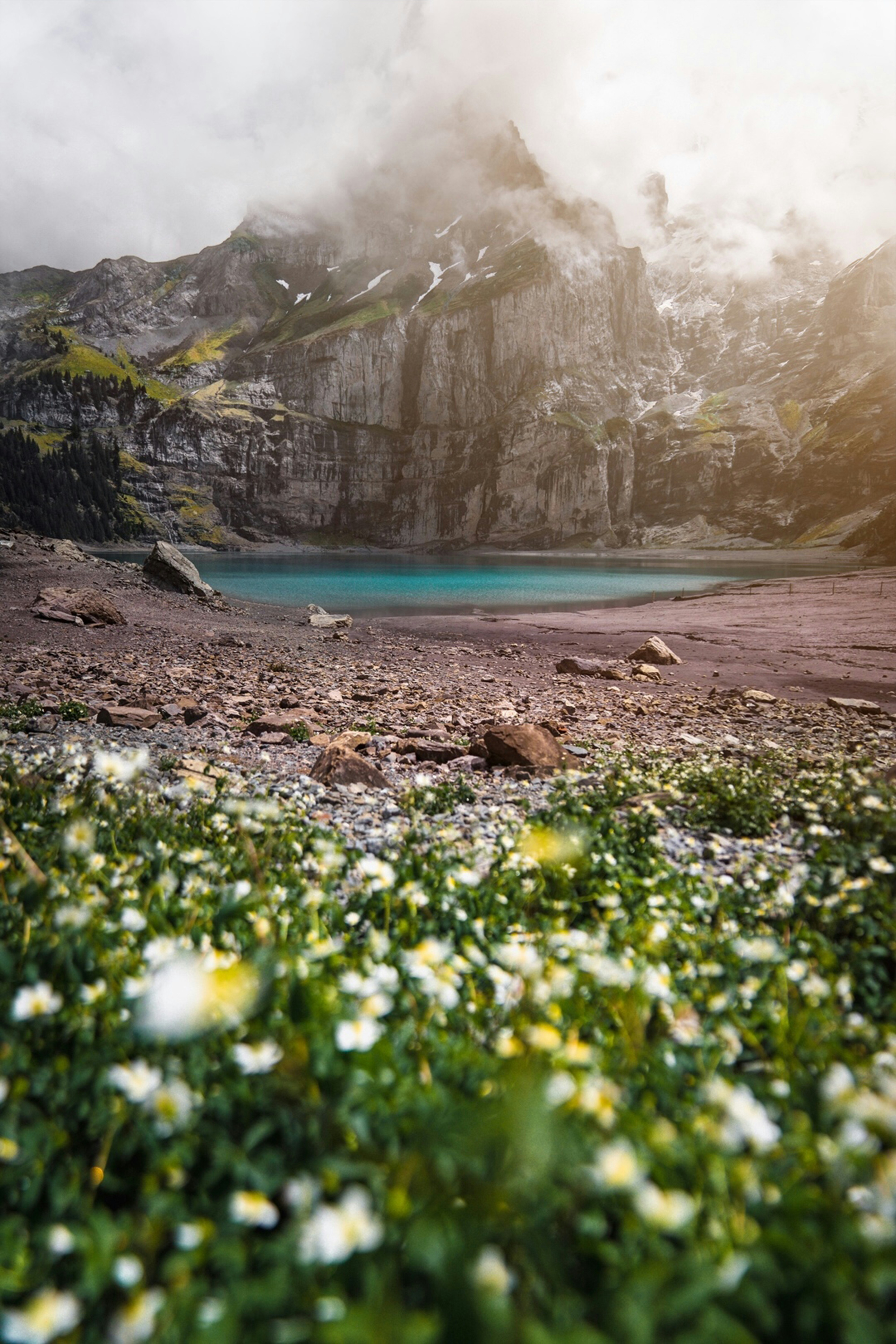Misty Mountain Lake with Wildflowers