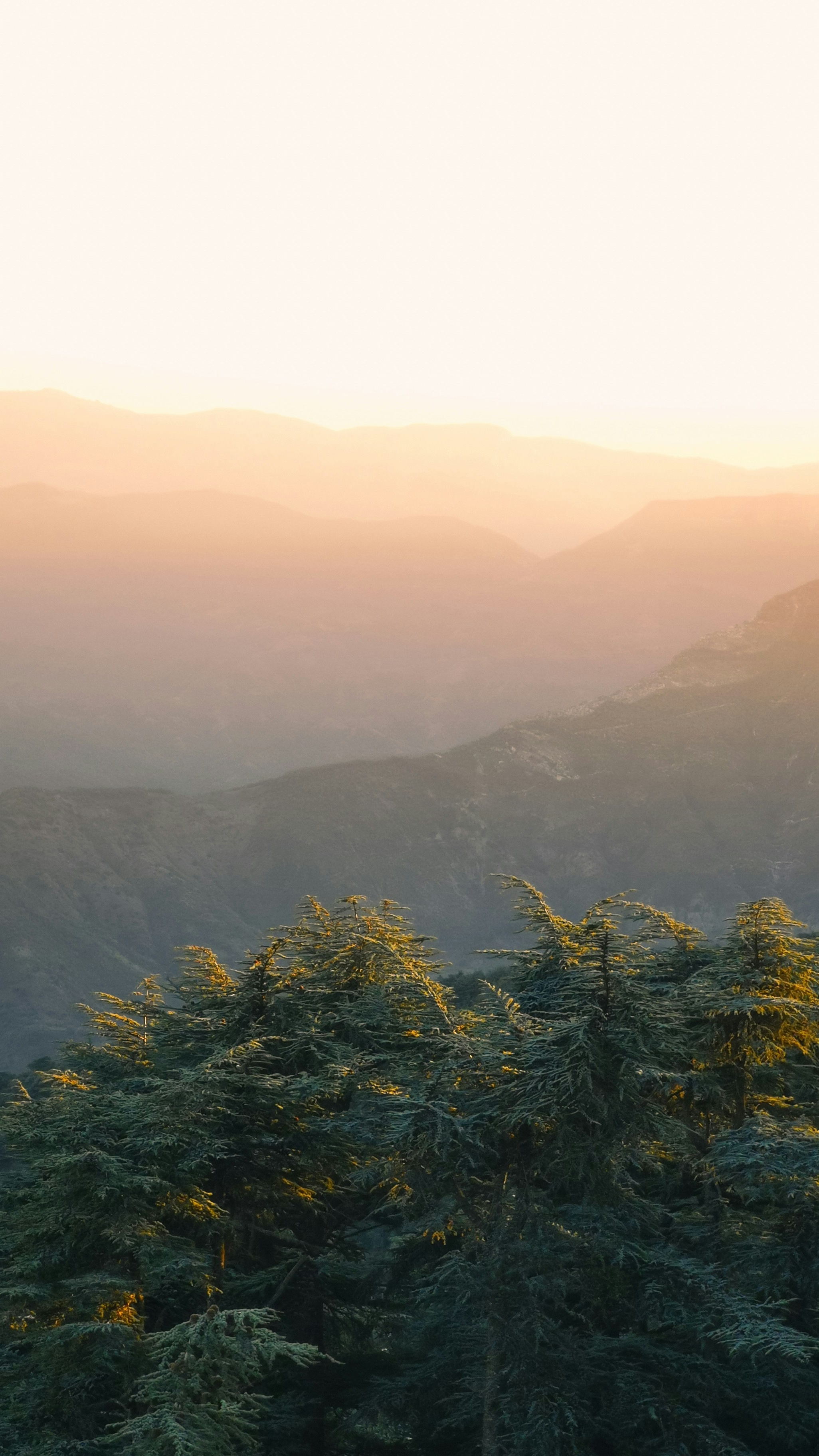 Landscapes