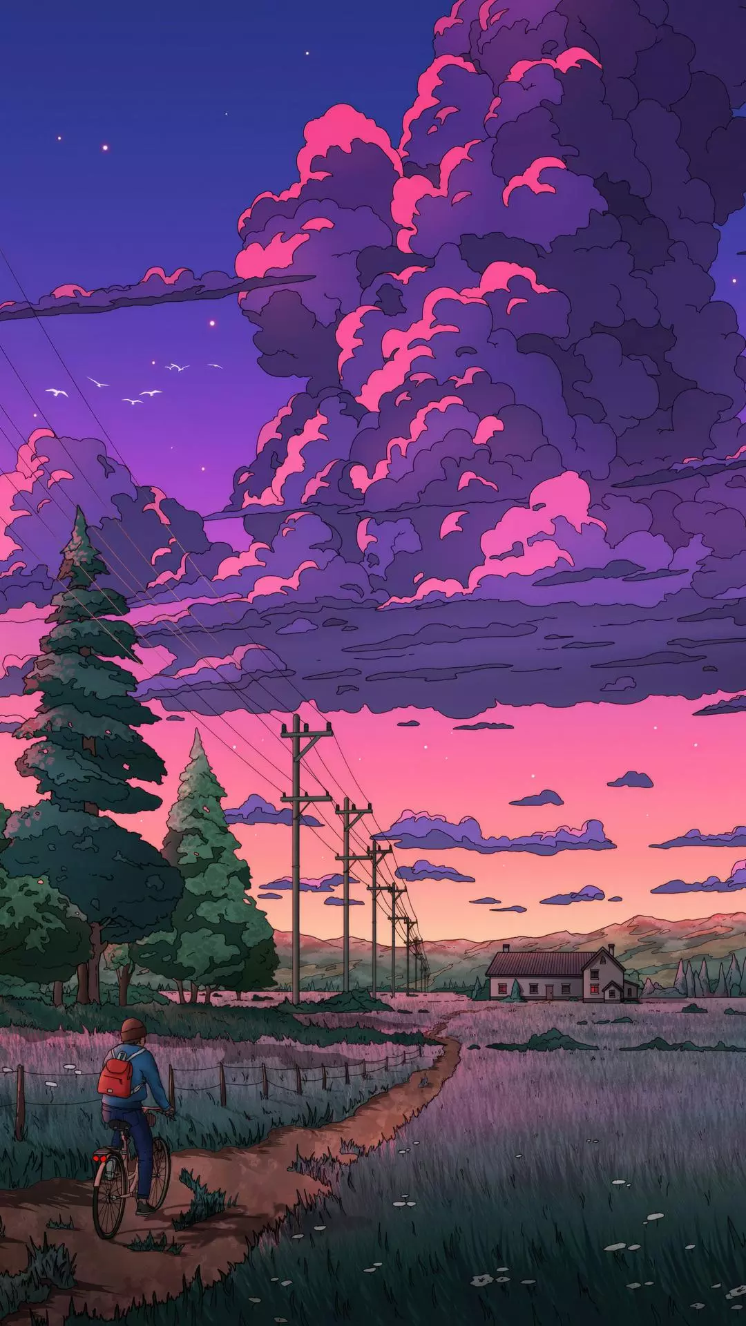 Wallpapers