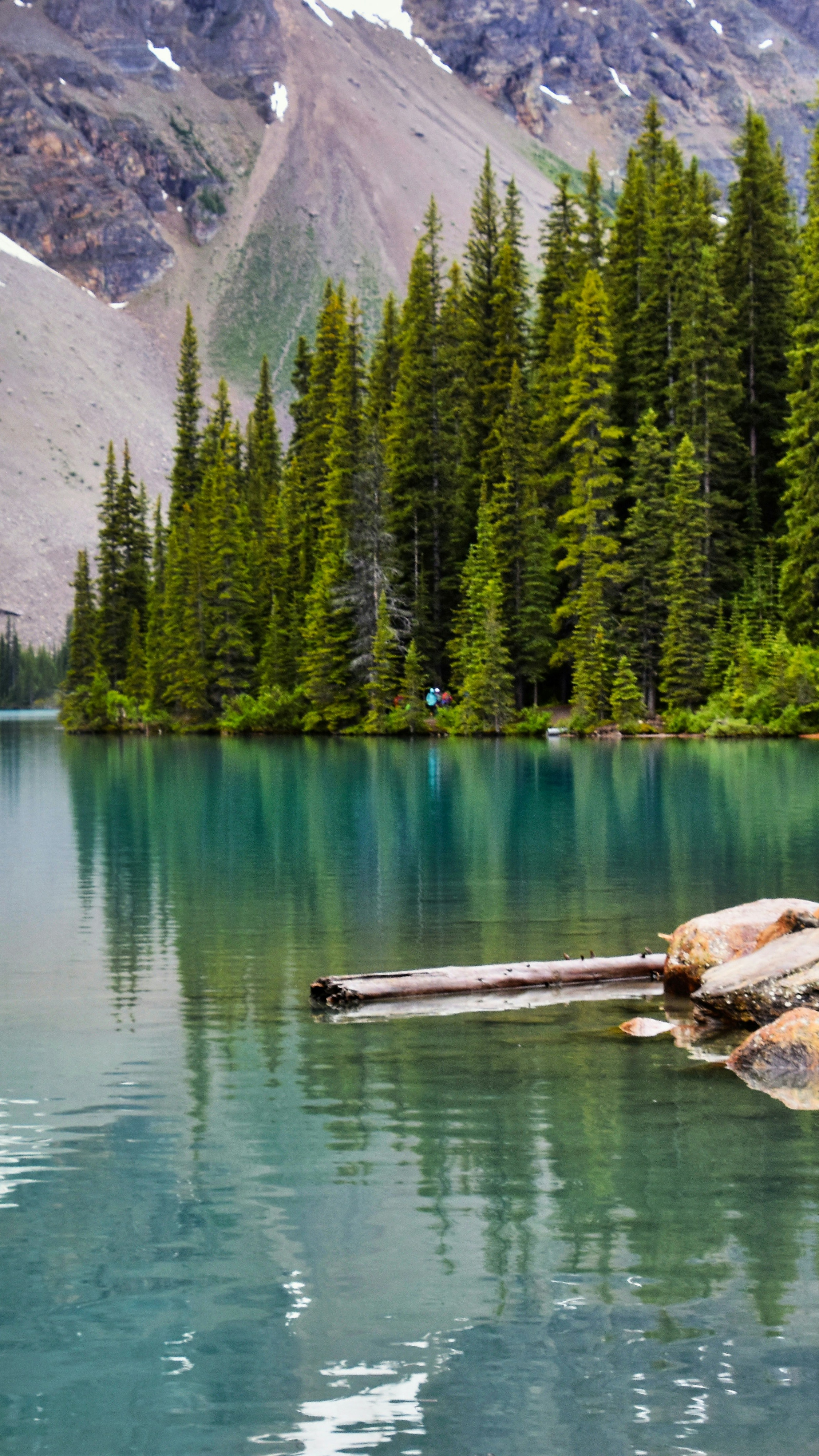 Landscapes