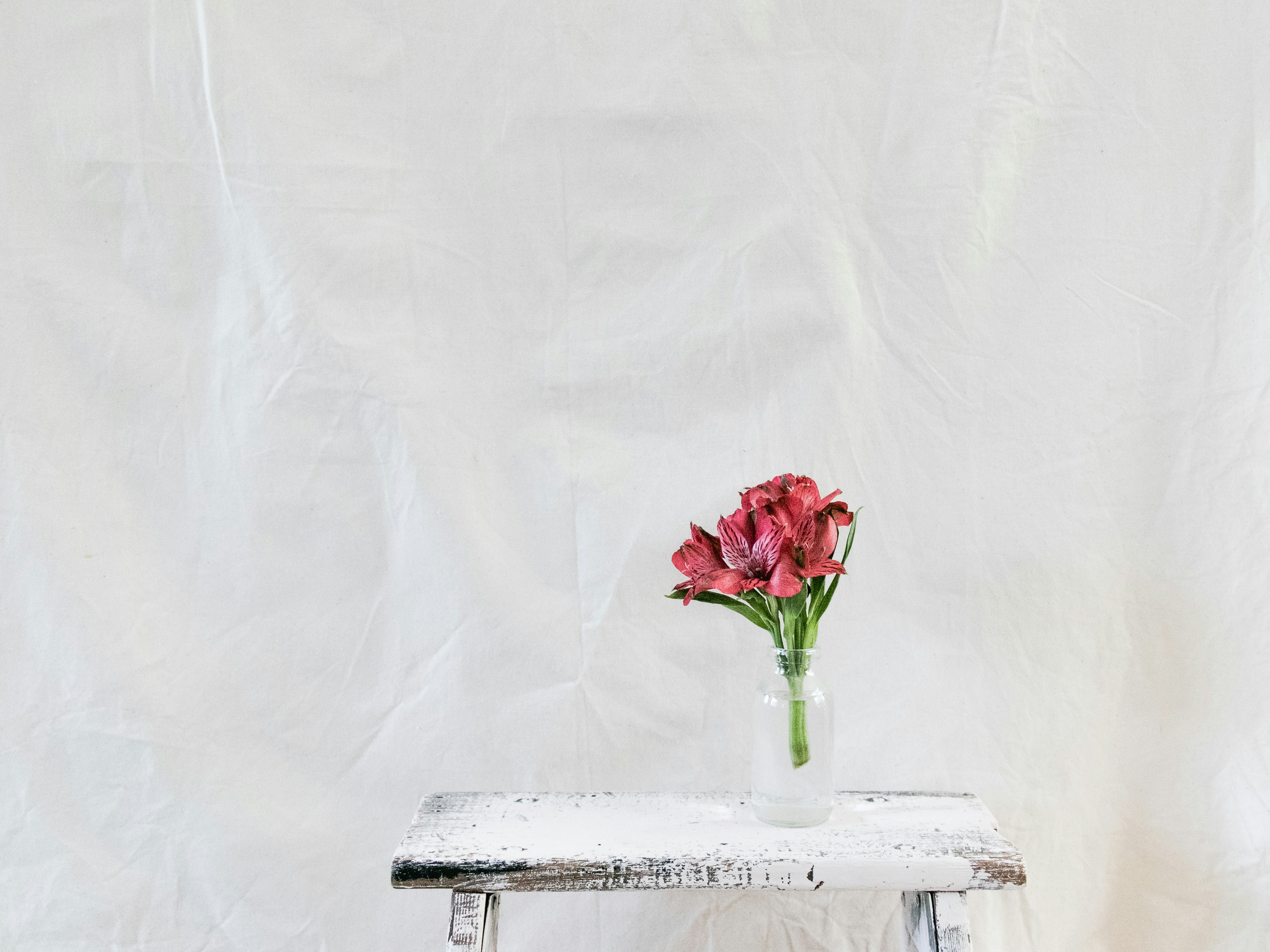 Red Flowers in Glass Vase on Bench