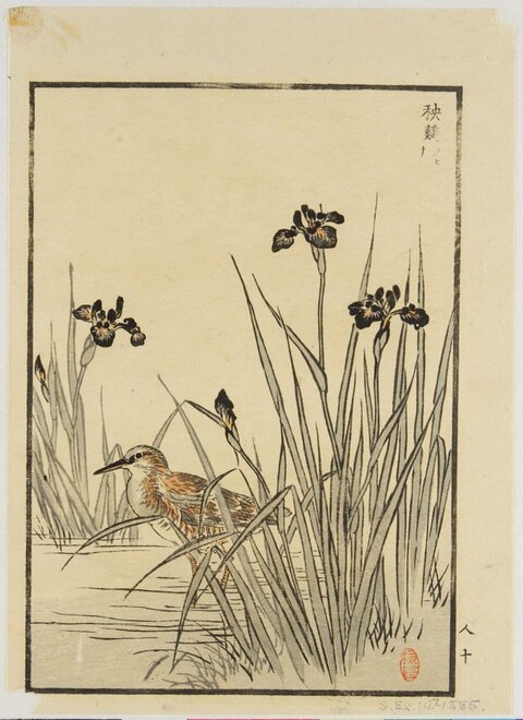 Snipe and Irises Woodblock Print
