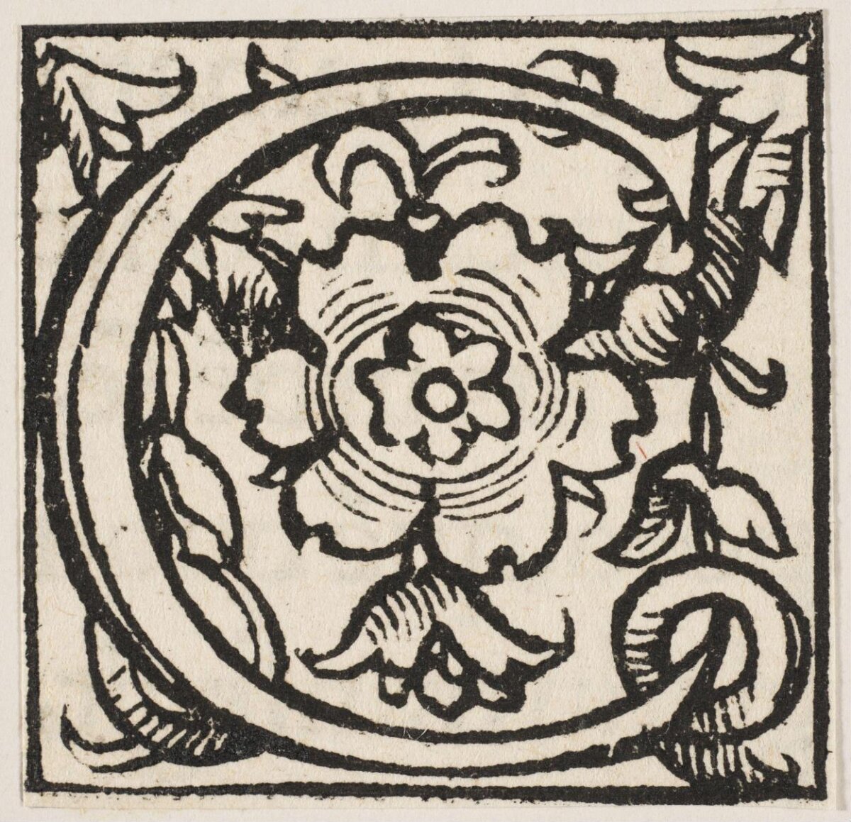 Woodcut Rose Decorative Pattern