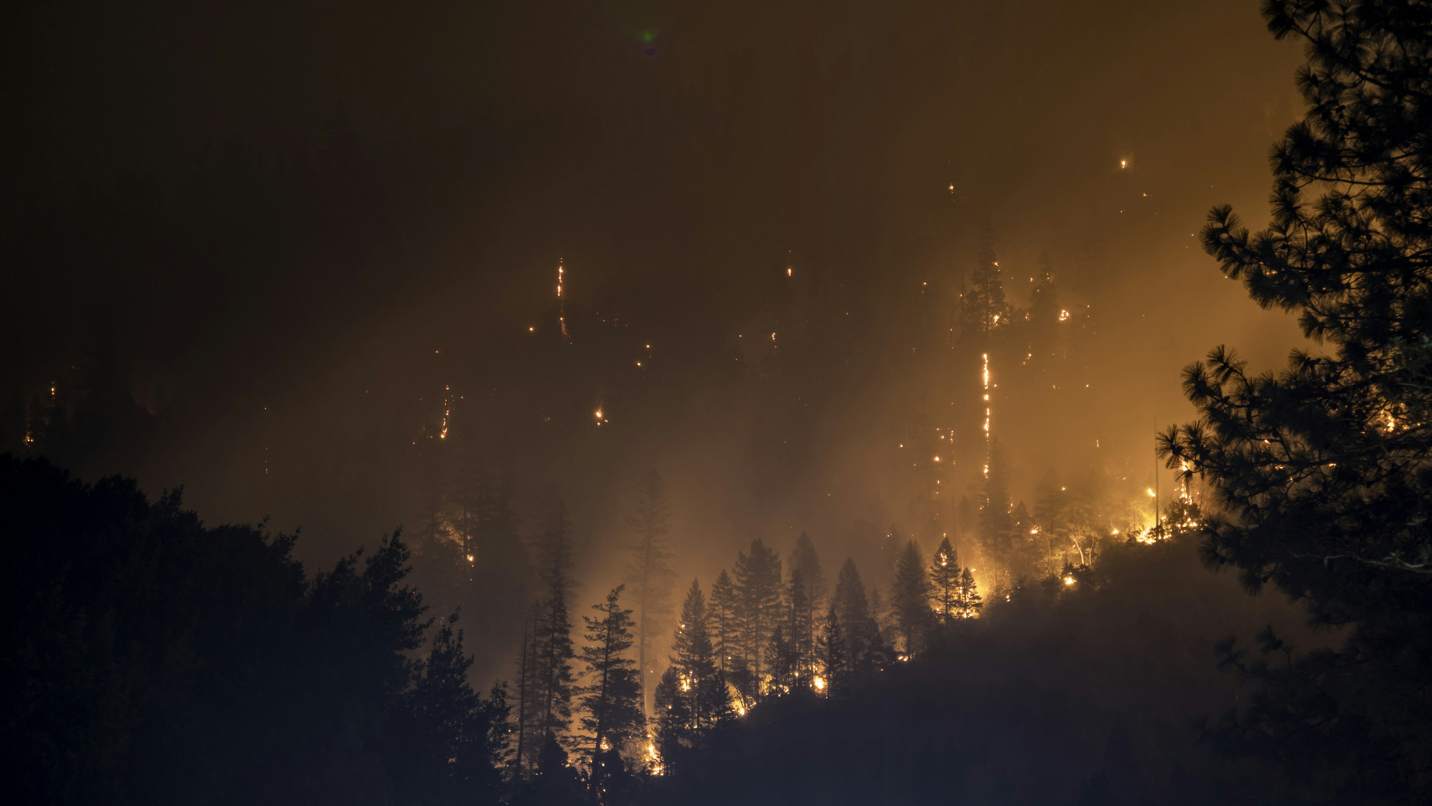 Nighttime Forest Wildfire