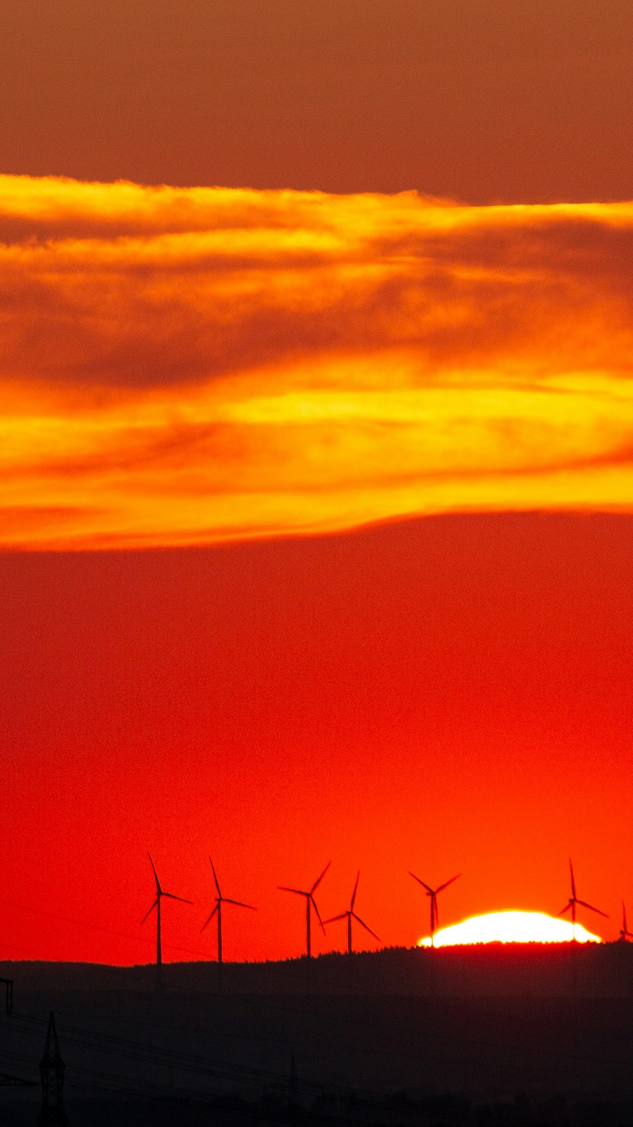 Wallpapers