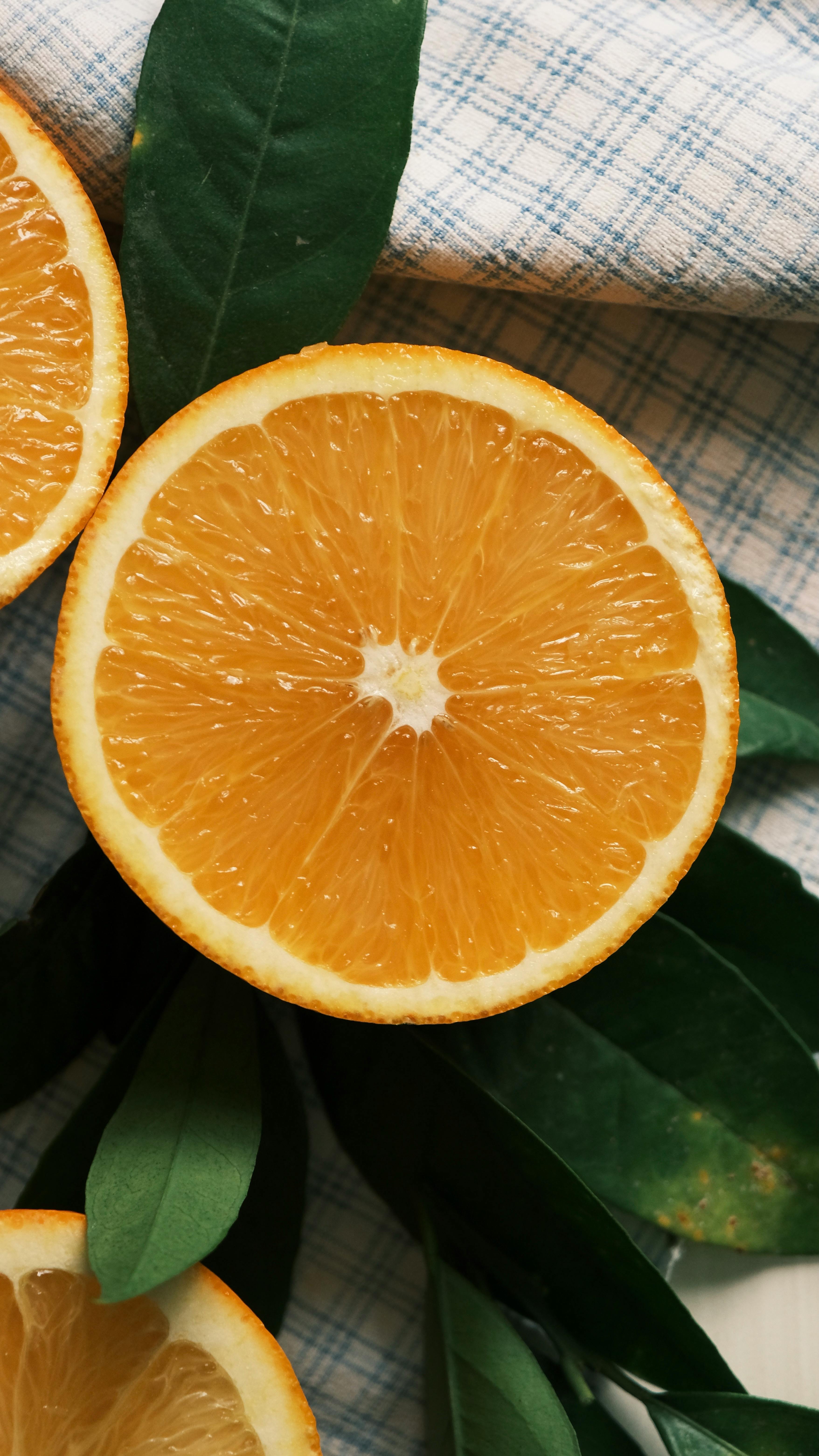 Image 1619759 — Food