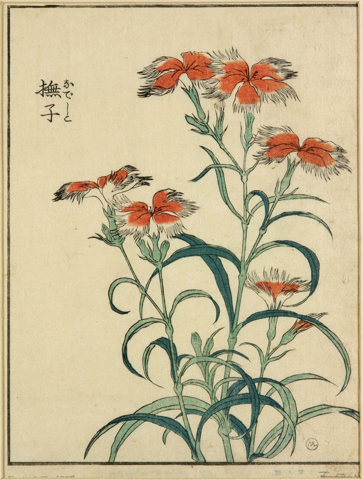 Japanese Woodblock Print of Dianthus