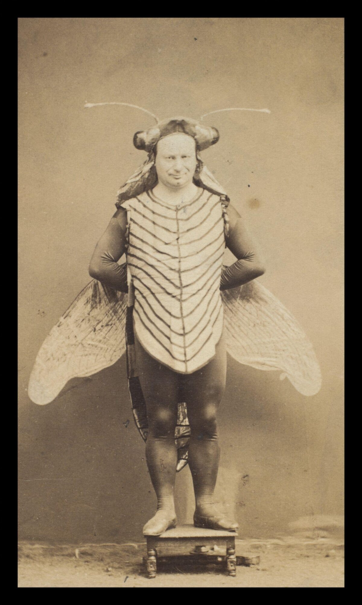 Vintage Photo of Man in Insect Costume