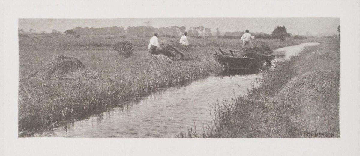 Workers Harvesting Hay by Waterway